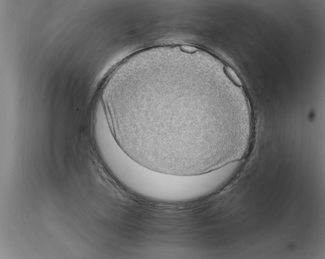 X0000115281219200912111219