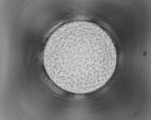 X0000115281220200912111219