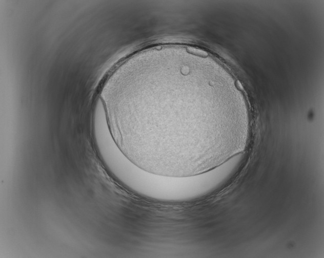 X0000115281221200912111219