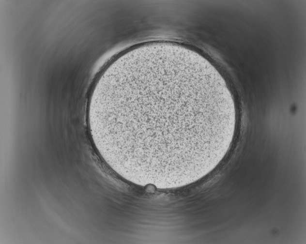 X0000115281222200912111219