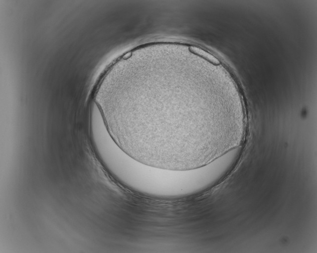 X0000115281223200912111219