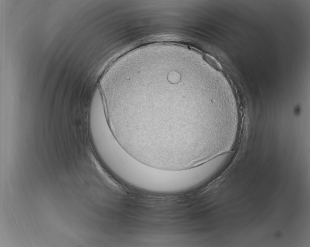 X0000115281225200912111219