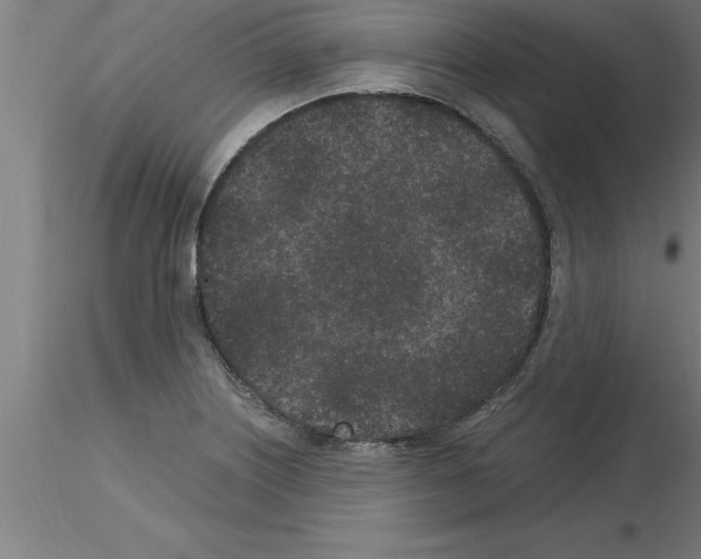 X0000115281226200912111219