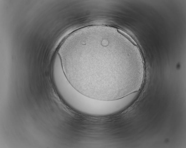 X0000115281227200912111219