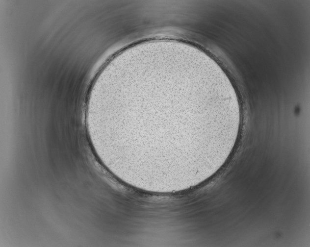 X0000115281232200912111219