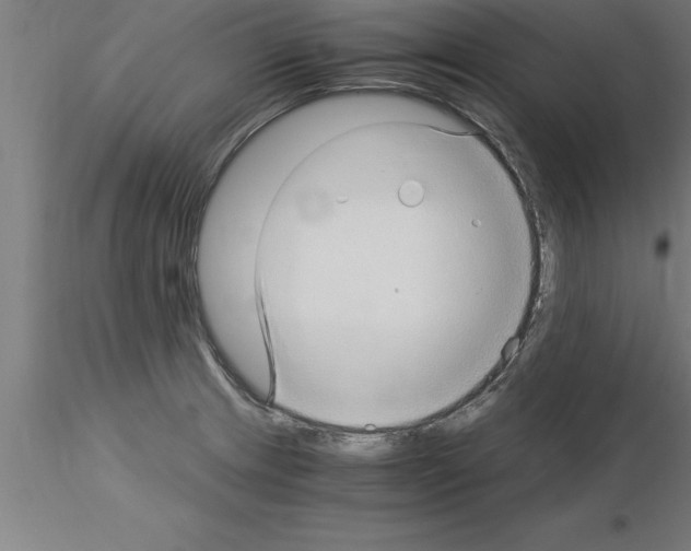 X0000115281233200912111219