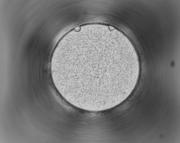 X0000115281234200912111219