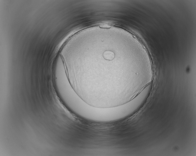 X0000115281235200912111219