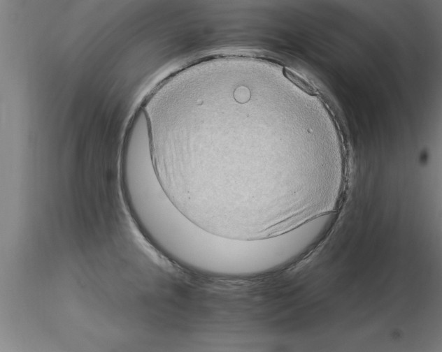 X0000115281237200912111219