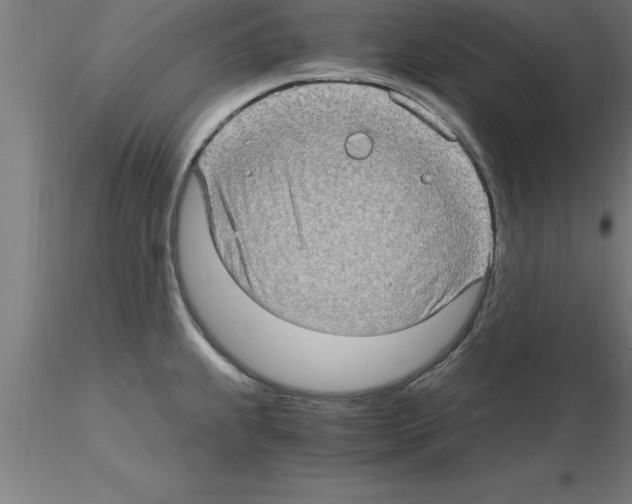 X0000115281239200912111219