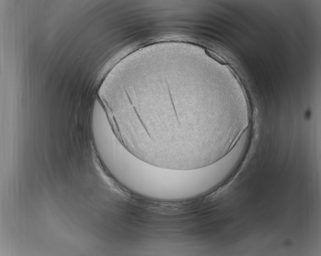 X0000115281241200912111219