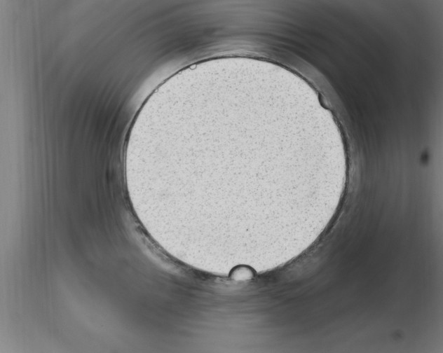 X0000115281242200912111219