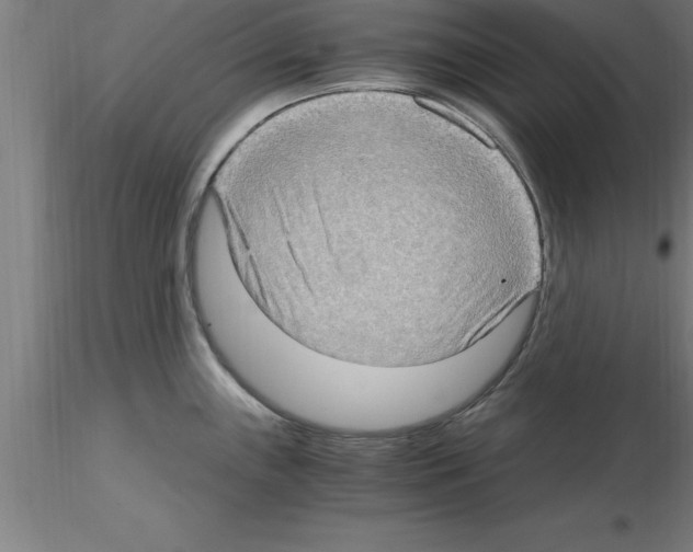 X0000115281243200912111219