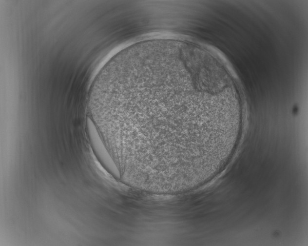 X0000115281244200912111219