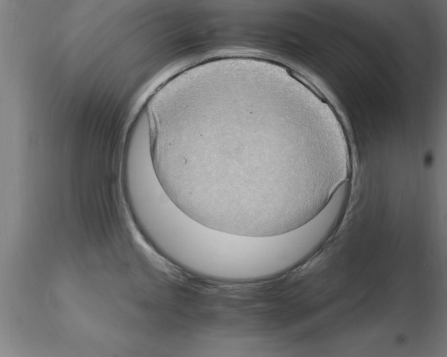 X0000115281245200912111219