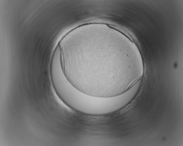 X0000115281247200912111219