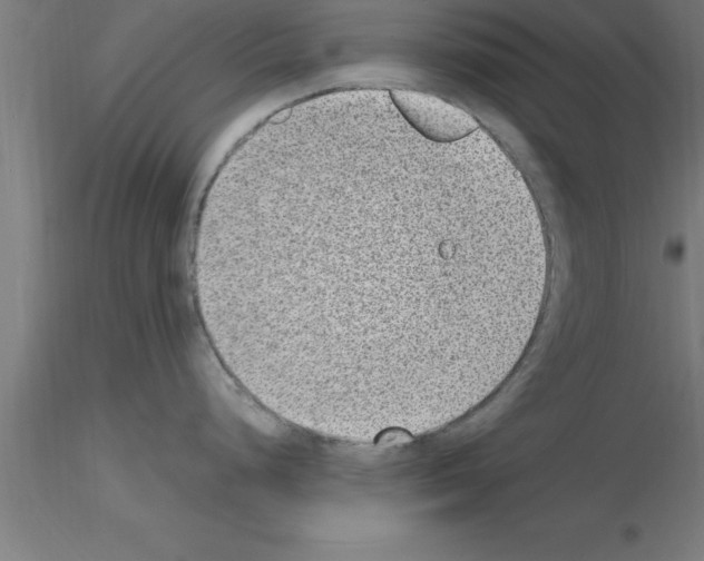 X0000115281248200912111219