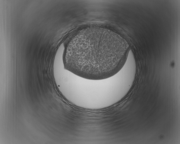 X0000115281252200912111218