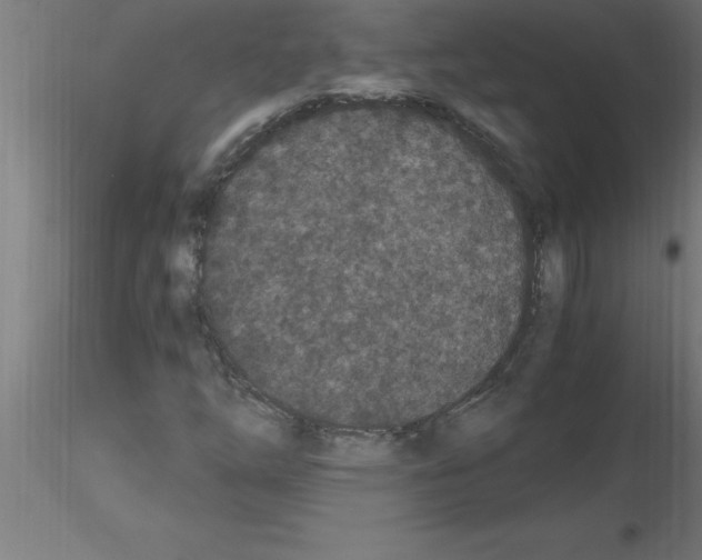 X0000115281254200912111218