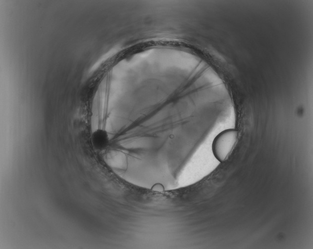 X0000115281255200912111218