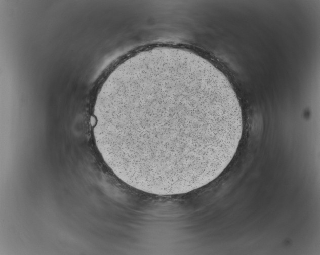 X0000115281256200912111218