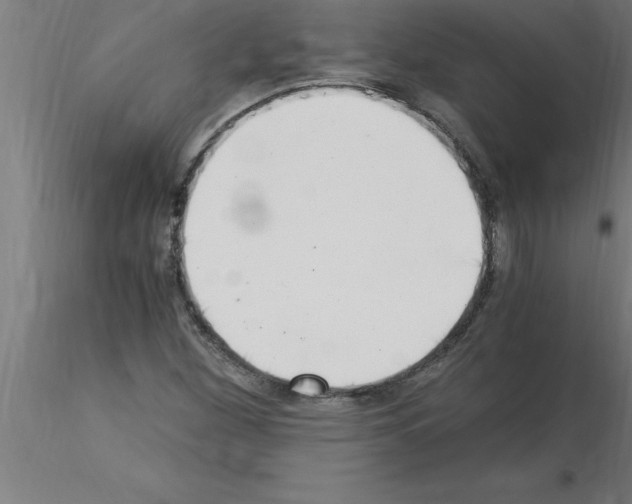 X0000115281260200912111218