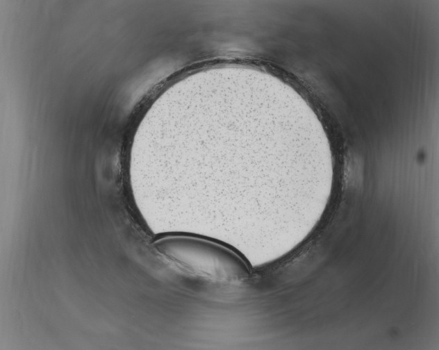 X0000115281261200912111218