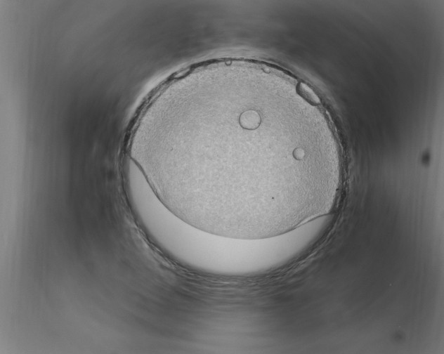 X0000115281264200912111218