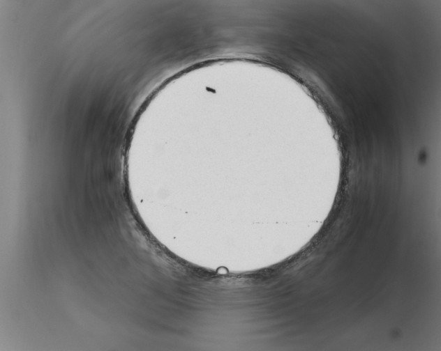 X0000115281268200912111218