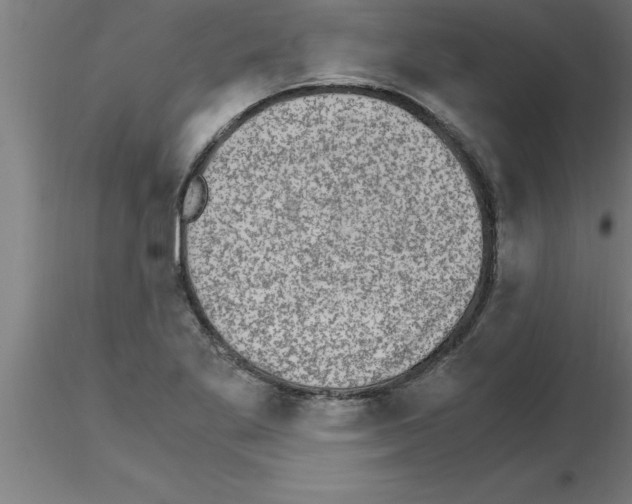 X0000115281269200912111218