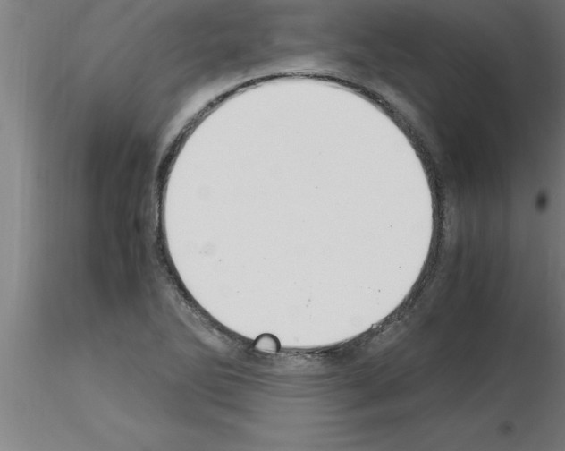 X0000115281270200912111218