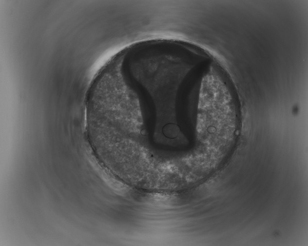 X0000115281271200912111218