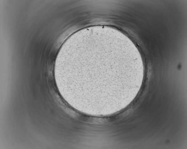 X0000115281273200912111218