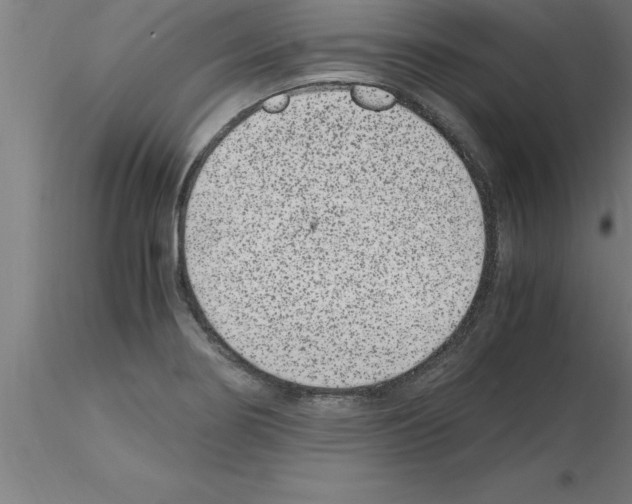 X0000115281274200912111218