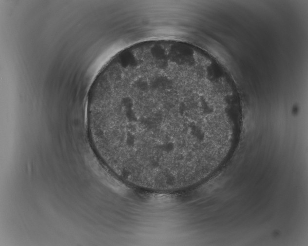 X0000115281275200912111218