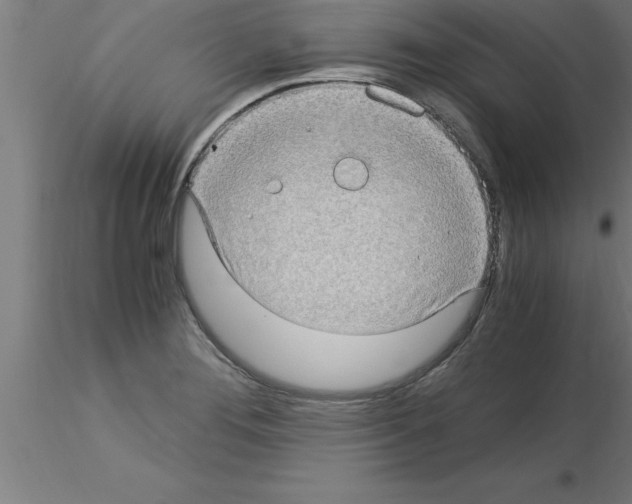 X0000115281276200912111218