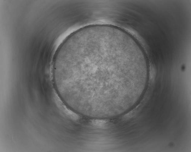 X0000115281278200912111218