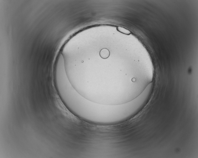 X0000115281280200912111217