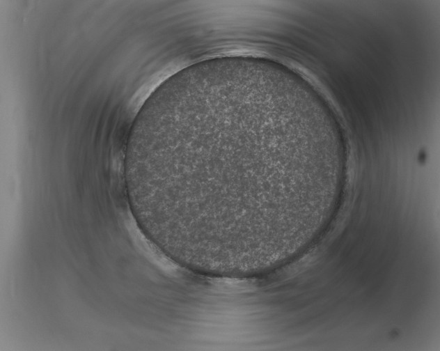 X0000115281281200912111217