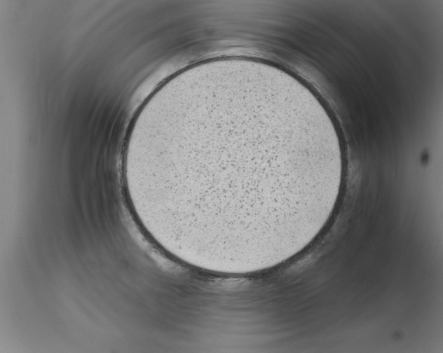 X0000115281282200912111217