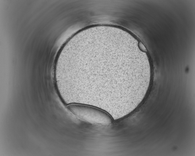 X0000115281285200912111217