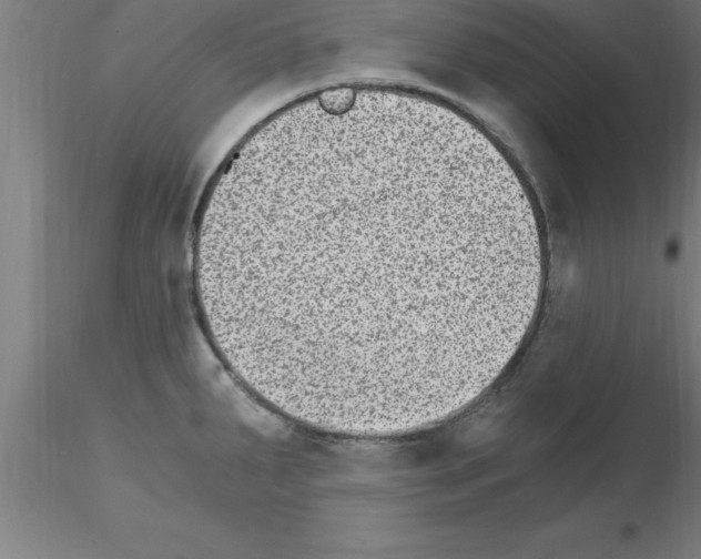 X0000115281287200912111217