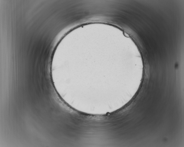 X0000115281288200912111217