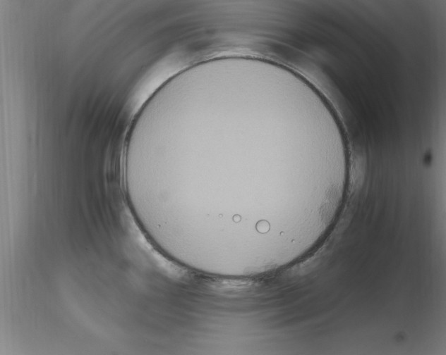 X0000115281290200912111217