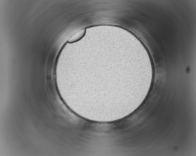 X0000115281293200912111217