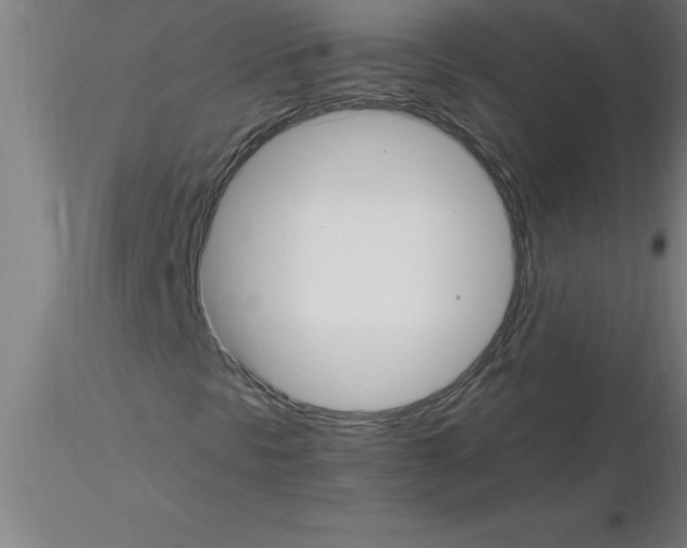 X0000115281297200912111217