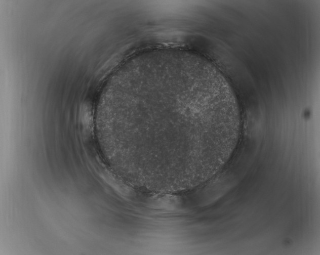 X0000115281298200912111217