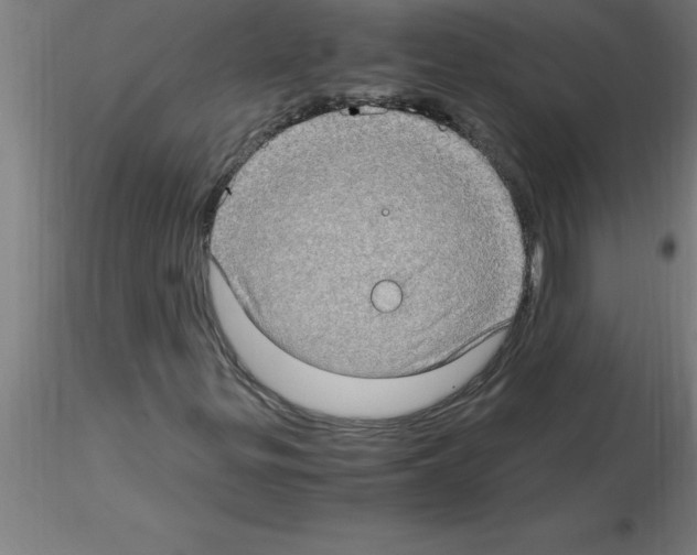 X0000115281299200912111217