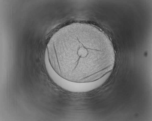 X0000115281301200912111217