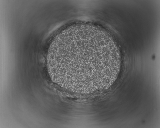 X0000115281302200912111217